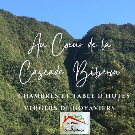 拉普兰德帕尔米斯特Au Coeur De La Cascade Biberon住宿加早餐旅馆 外观 照片